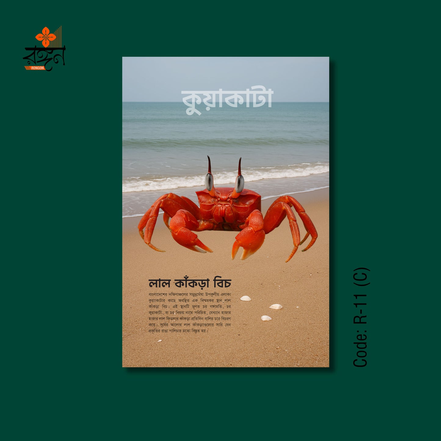 কুয়াকাটা ওয়ালমেট কালেকশন