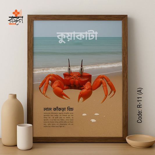 কুয়াকাটা ওয়ালমেট কালেকশন
